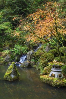 Japanese-Garden-3.jpg