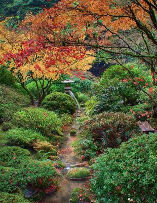 Japanese-Garden-5-cropped.jpg