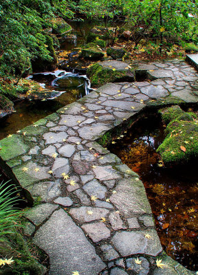 Japanese-Garden-6.jpg