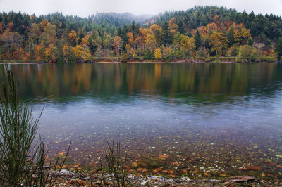 North-of-Hoodsport-colors-1.jpg