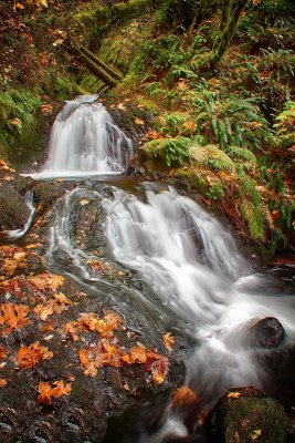 Sheppherds-Dell-top-of-falls.jpg