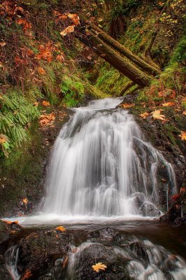 Sheppherds-Dell-upper-falls.jpg
