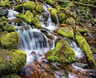 Sol-Duc-creek-1-web.jpg