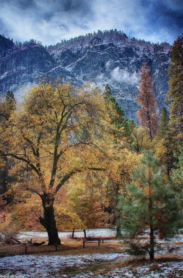 Ahwahnee-view-1.jpg