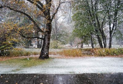 Awahnee-snowfall-1.jpg