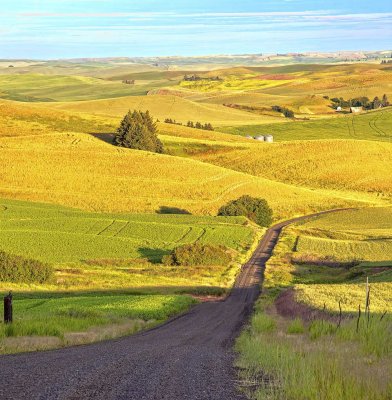 palouse_6-14