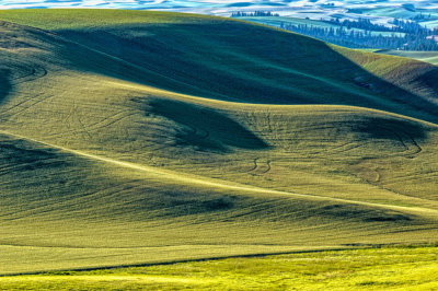 Palouse-abstract-1.jpg