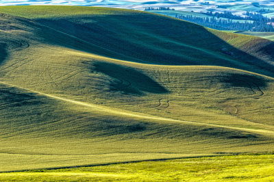Palouse-abstract-1.jpg