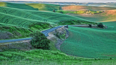 Palouse-morning-1.jpg