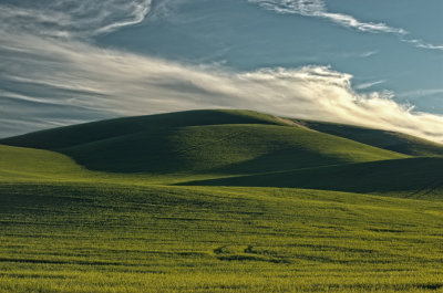 Palouse-shadows-1.jpg