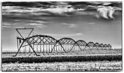 Sprinkler-BW-framed.jpg