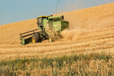 Combine-1.jpg