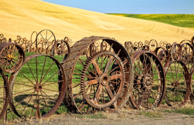 Dahman-wheels.jpg