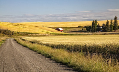 hidden-barn-1.jpg