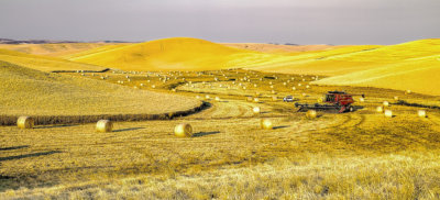 river-of-bales.jpg