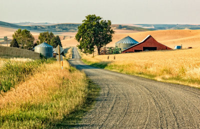 road-shot-3.jpg