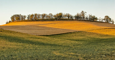 Shawnee-Rd-golden-hour.jpg
