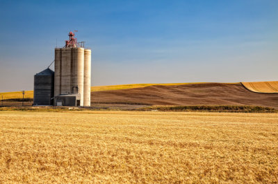 Silo-morning-shot.jpg