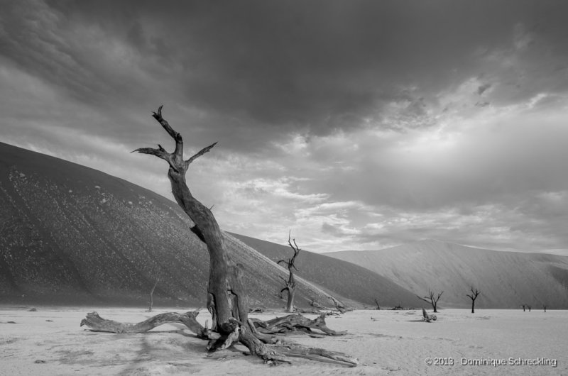 Deadvlei