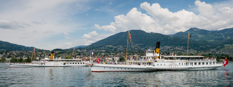 Parade Navale 2014