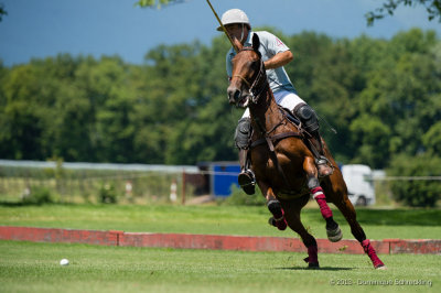 Swiss Medium Goal Polo Championship 2013