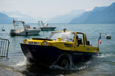 Dutton Commander