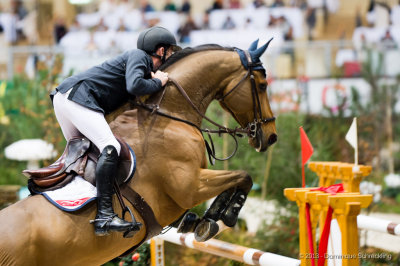 Scott Brash (GBR)