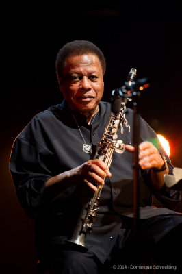 Herbie Hancock and Wayne Shorter