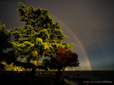 Around Lake Geneva