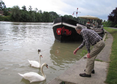 Dick & swans