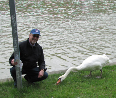 John & swans