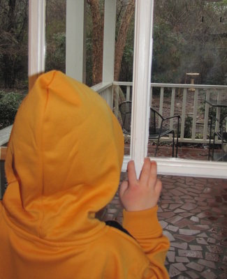 Too wet to go outside.