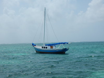 g9/99/30199/3/160610365.4dB6SOOB.jpg