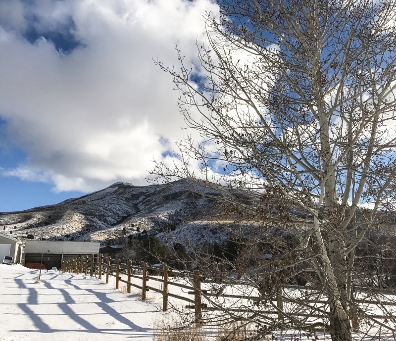 Chinese Peak in Early December