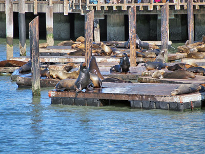 PA144225_20131014e.jpg