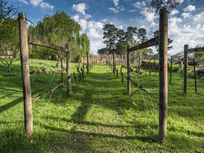 Montsalvat Landscapes