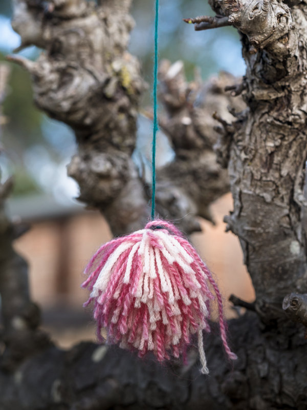 Montsalvat - Still Life Images