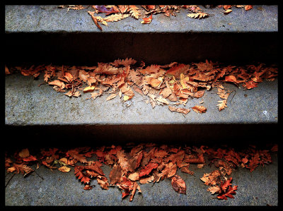 Autumn steps