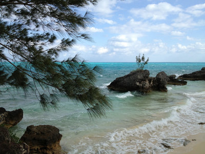 Turtle Cove, Cambridge Beaches