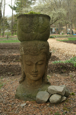 boddhisatva head planter