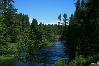 headwaters of the Metolius River