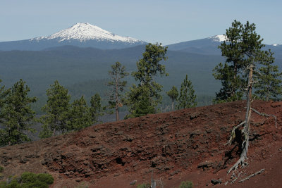 Mt. Bachelor from Lava Butte