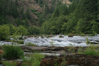 fly fishing on the North Umpqua River