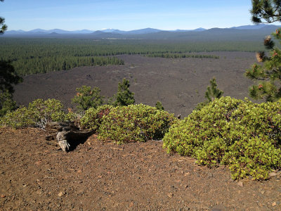 Lava Butte, overlooking lava field below