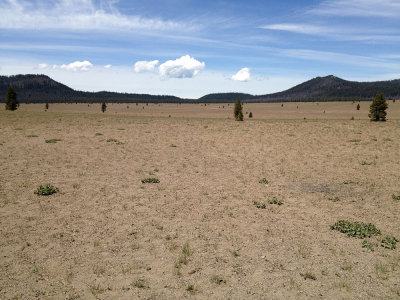 pumice desert, approaching Crater Lake