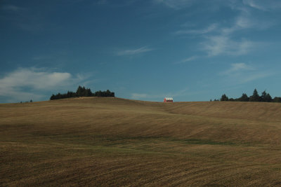 house and field