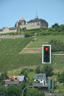 vinyard, en route to Baden Baden