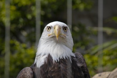 Bronx Zoo -- March 2013