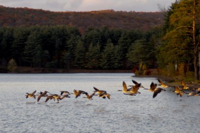 Holyoke, Mass.