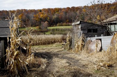 Feeding Hills, Mass.